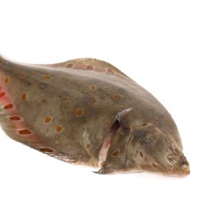 Whole Plaice (Each)