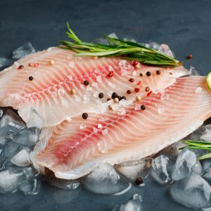 Sea Bass (Pack of 2)